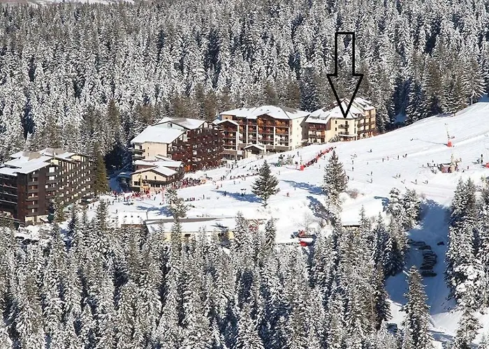 Apartament Le Jas De L Ours - Chabanon Selonnet