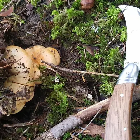 Le Jas De L Ours - Chabanon Апартаменты