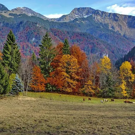 Le Jas De L Ours - Chabanon