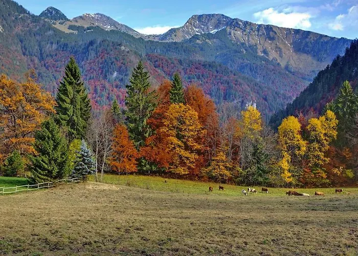 Le Jas De L Ours - Chabanon
